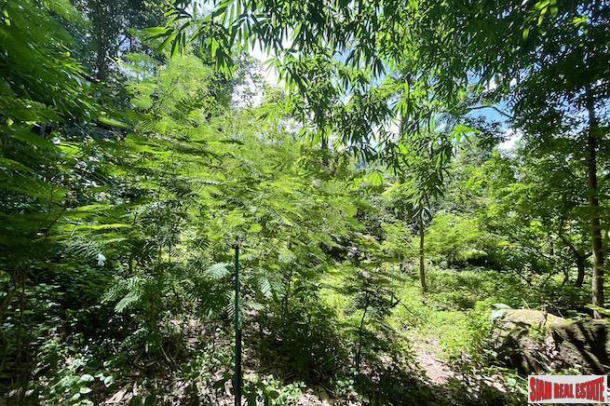 Almost 12 Rai of Hillside Land with Wonderful Chalong City  & Mountain Views-7