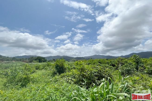 A large plot of 101 rai with clear water stream and mountain view for sale in Khuekkhak, Phangnga-9