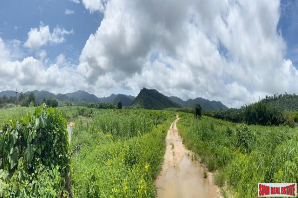 A large plot of 101 rai with clear water stream and mountain view for sale in Khuekkhak, Phangnga-3