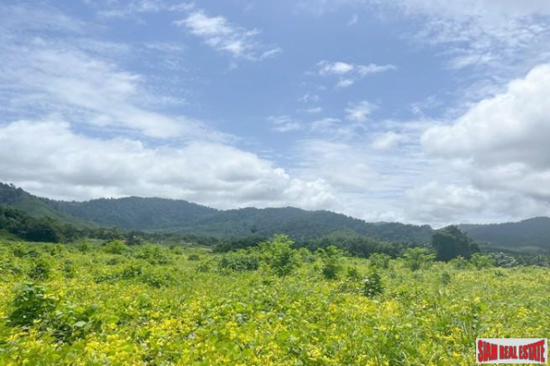A large plot of 101 rai with clear water stream and mountain view for sale in Khuekkhak, Phangnga-5