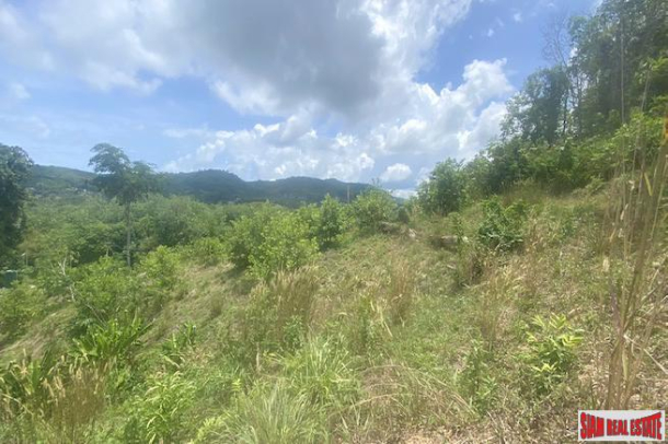 Almost 3 Rai of Sea View Hillside Land for Sale in Layan-9