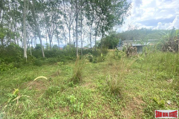 Land Plot for Sale in Thalang - 676 sqm and Perfect for Country Living-3