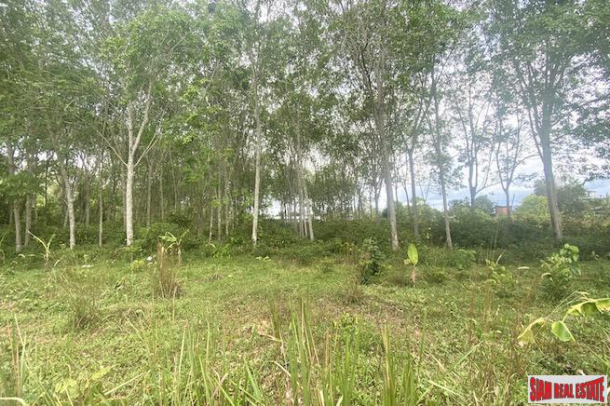 Land Plot for Sale in Thalang - 676 sqm and Perfect for Country Living-6