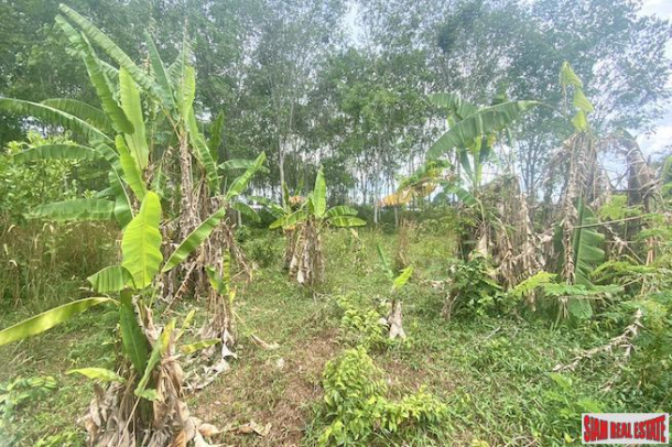 Land Plot for Sale in Thalang - 676 sqm and Perfect for Country Living-7
