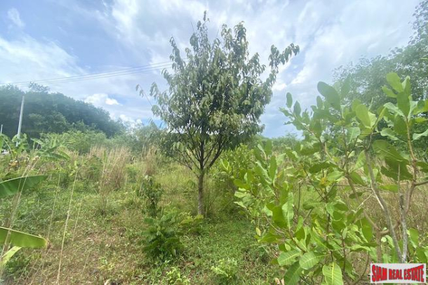 Land Plot for Sale in Thalang - 676 sqm and Perfect for Country Living-8