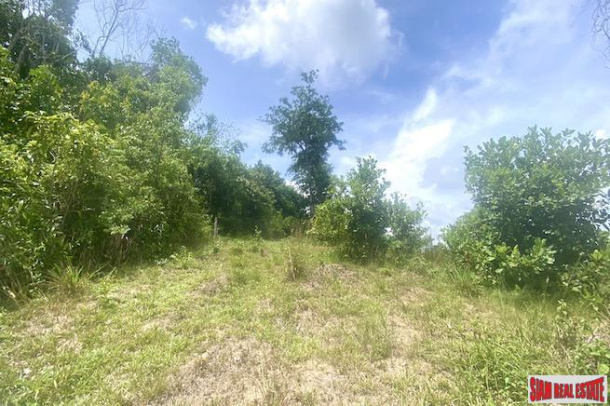 Just Over 2 Rai of Sea View Land for Sale in Layan-8
