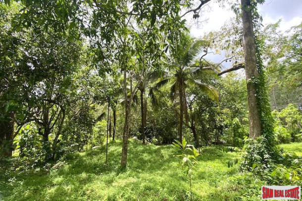 Prime Location -  7.5 Rai Land Plot for Sale in Thalang-3