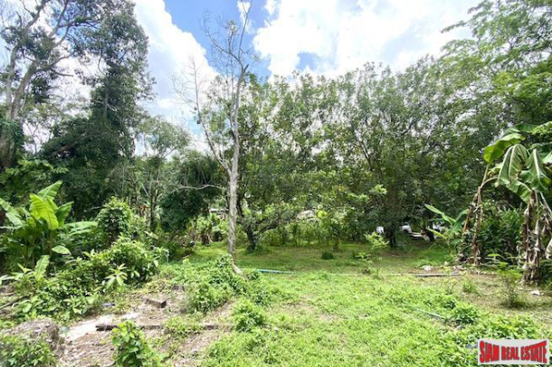 Prime Location -  7.5 Rai Land Plot for Sale in Thalang-4