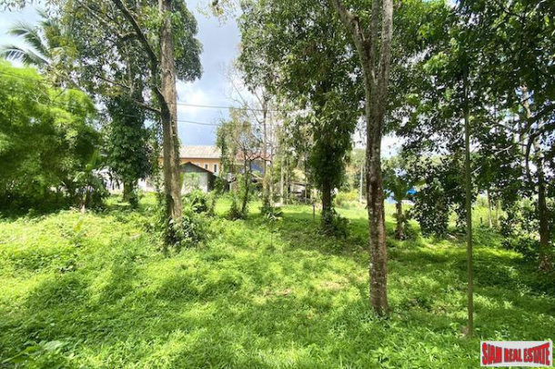 Prime Location -  7.5 Rai Land Plot for Sale in Thalang-7