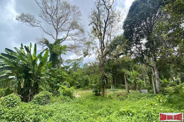 Prime Location -  7.5 Rai Land Plot for Sale in Thalang-9