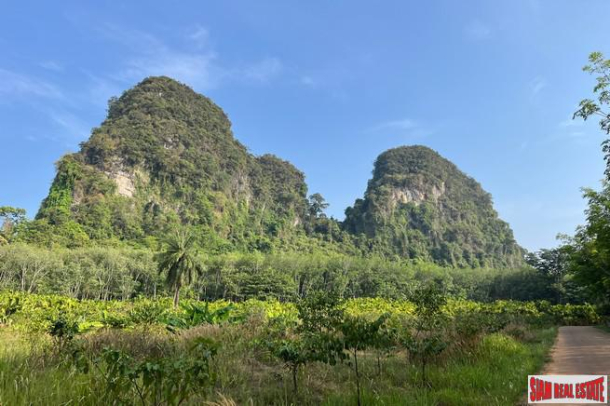 4.5 rai of land with wonderful mountain view for sale in Nong Thaley, Krabi-1