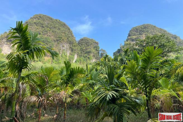4.5 rai of land with wonderful mountain view for sale in Nong Thaley, Krabi-2