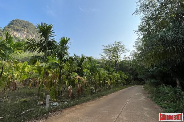 4.5 rai of land with wonderful mountain view for sale in Nong Thaley, Krabi-6