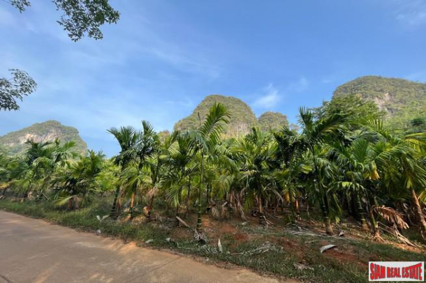 4.5 rai of land with wonderful mountain view for sale in Nong Thaley, Krabi-7