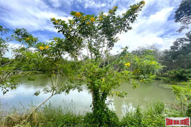 Urgent Sale!! Beautiful Almost 6 Rai Surrounded by Nature and Canal for Sale in Klokkoi, Phangnga-10