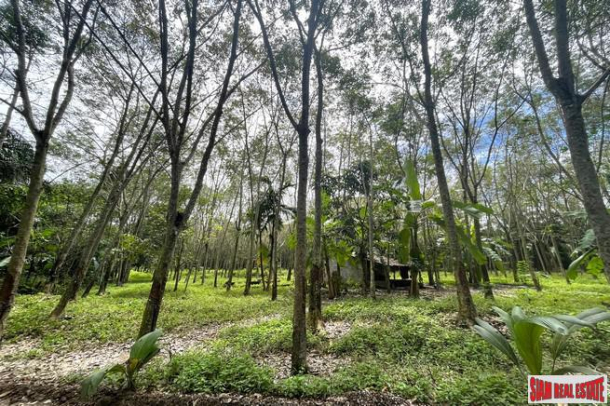 Urgent Sale!! Beautiful Almost 6 Rai Surrounded by Nature and Canal for Sale in Klokkoi, Phangnga-6