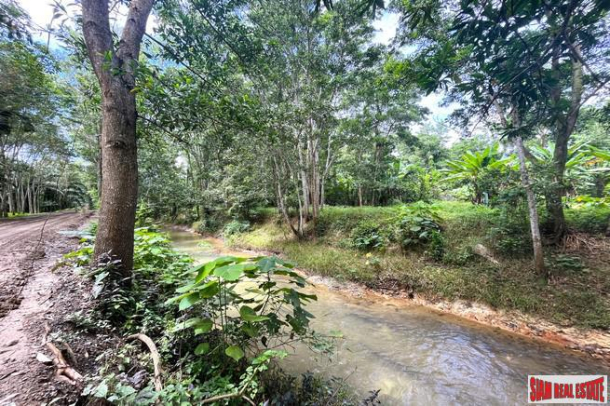 Urgent Sale!! Beautiful Almost 6 Rai Surrounded by Nature and Canal for Sale in Klokkoi, Phangnga-8