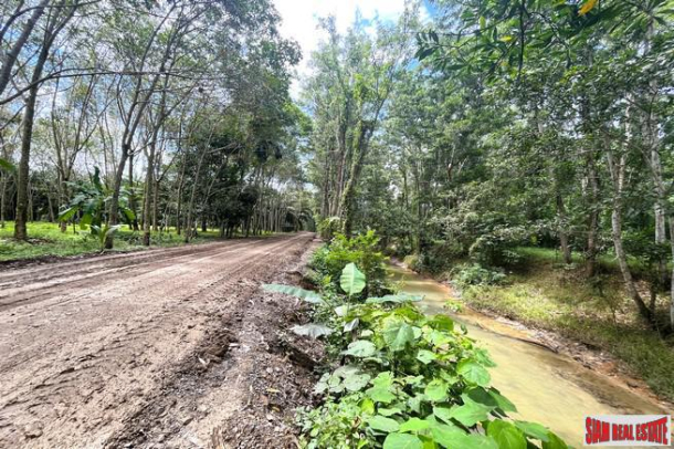Urgent Sale!! Beautiful Almost 6 Rai Surrounded by Nature and Canal for Sale in Klokkoi, Phangnga-9