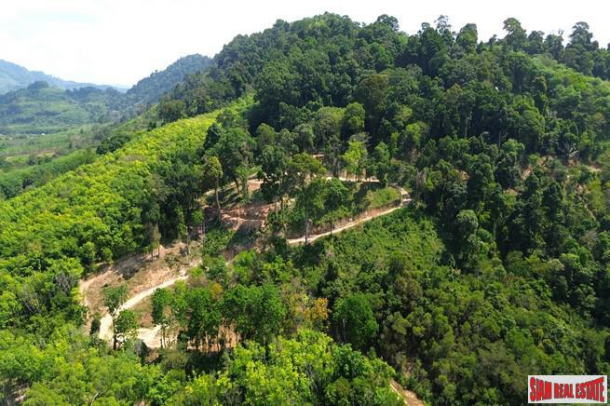 9.5 rai of sloping hillside land with slight sea view for sale in Khok Kloi, Phangnga-2