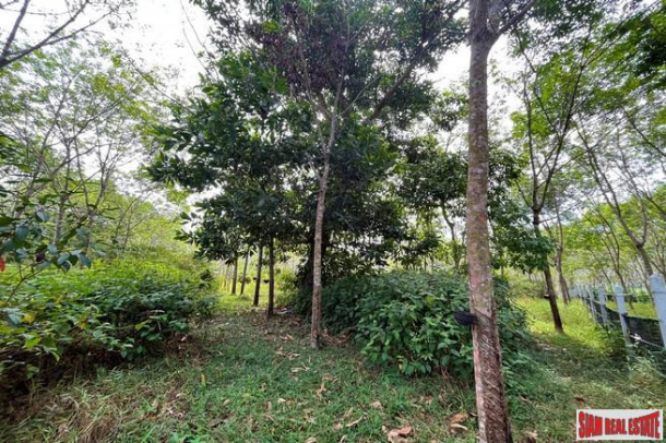 10 Rai of flat land close to Thai Mueang Beach only 5 mins for sale in Phangnga-8