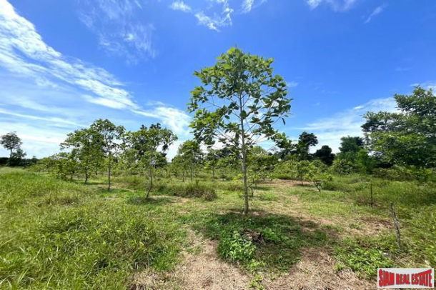 Charming 7.5 rai with mountain view land for sale in Thai Mueang, Phangnga-3