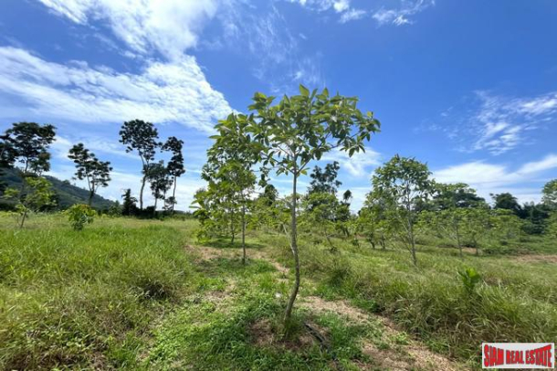 Charming 7.5 rai with mountain view land for sale in Thai Mueang, Phangnga-5