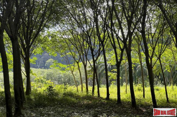 1.5 rai of rubber plantations with mountain views for sale in Sai Thai, Krabi-1