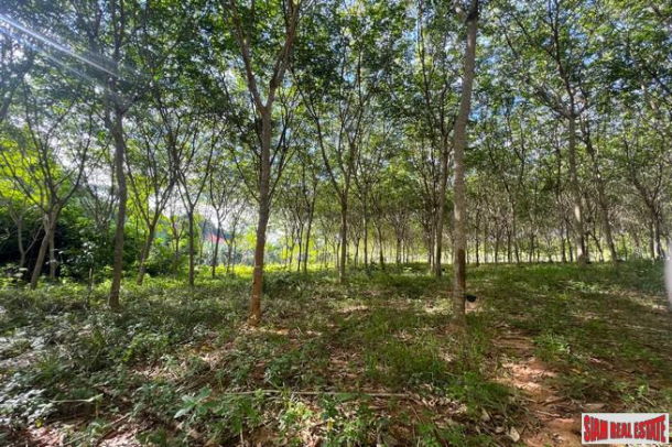 1.5 rai of rubber plantations with mountain views for sale in Sai Thai, Krabi-2