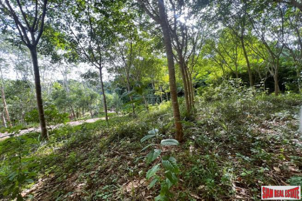1.5 rai of rubber plantations with mountain views for sale in Sai Thai, Krabi-3