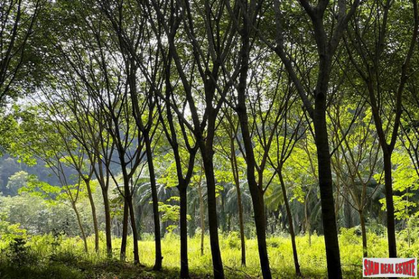 1.5 rai of rubber plantations with mountain views for sale in Sai Thai, Krabi-5