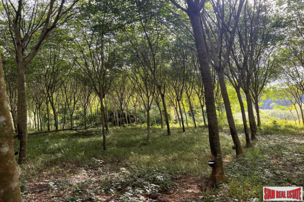 1.5 rai of rubber plantations with mountain views for sale in Sai Thai, Krabi-6
