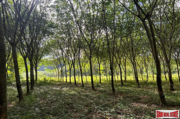 1.5 rai of rubber plantations with mountain views for sale in Sai Thai, Krabi-7