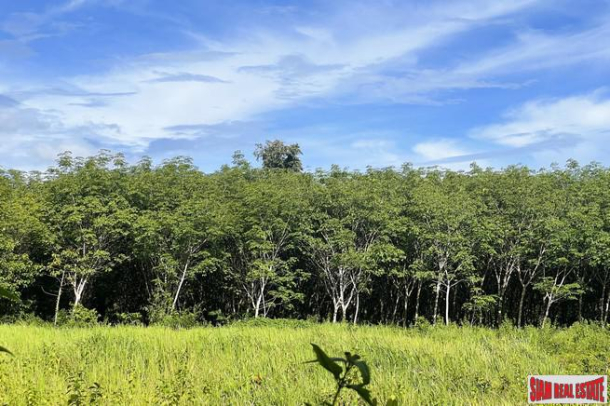 1.5 rai of rubber plantations with mountain views for sale in Sai Thai, Krabi-8
