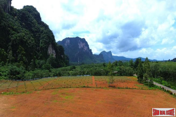 Breathtaking 14 rai of flat land with mountain view for sale in Khao Thong, Krabi-1