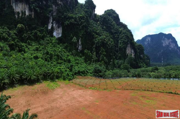 Breathtaking 14 rai of flat land with mountain view for sale in Khao Thong, Krabi-2