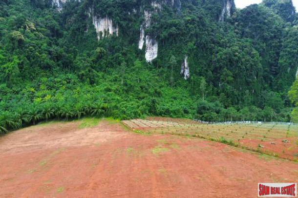 Breathtaking 14 rai of flat land with mountain view for sale in Khao Thong, Krabi-3