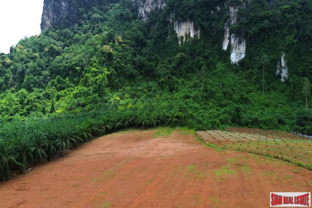 Breathtaking 14 rai of flat land with mountain view for sale in Khao Thong, Krabi-4