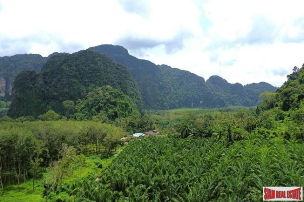 Breathtaking 14 rai of flat land with mountain view for sale in Khao Thong, Krabi-6