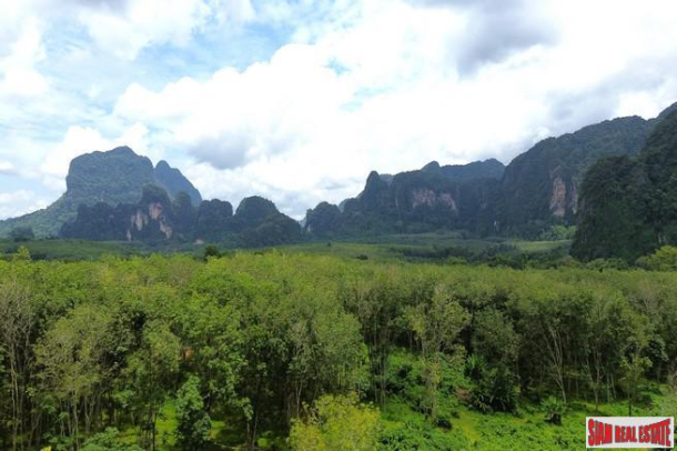 Breathtaking 14 rai of flat land with mountain view for sale in Khao Thong, Krabi-7