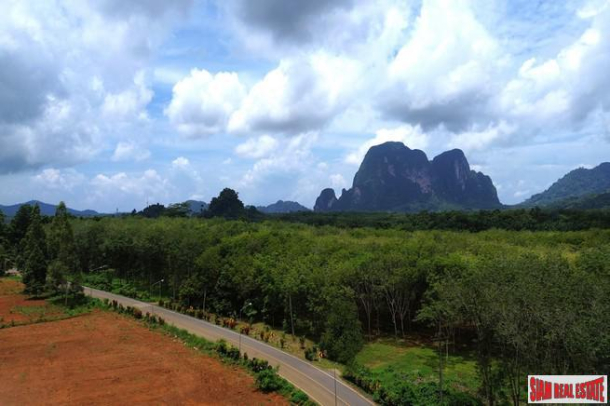 Breathtaking 14 rai of flat land with mountain view for sale in Khao Thong, Krabi-8
