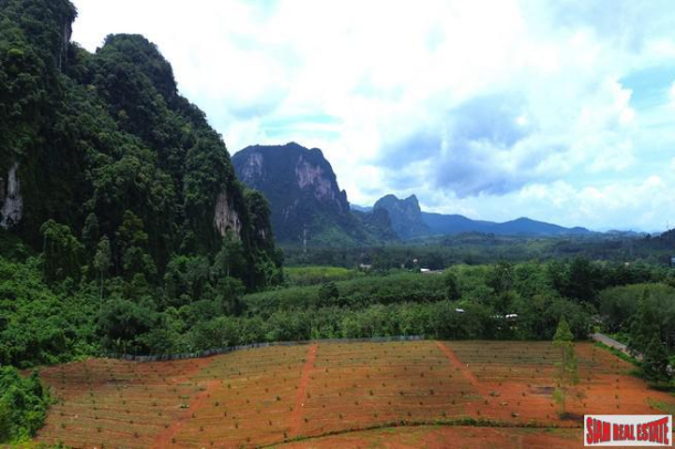 Breathtaking 14 rai of flat land with mountain view for sale in Khao Thong, Krabi-9