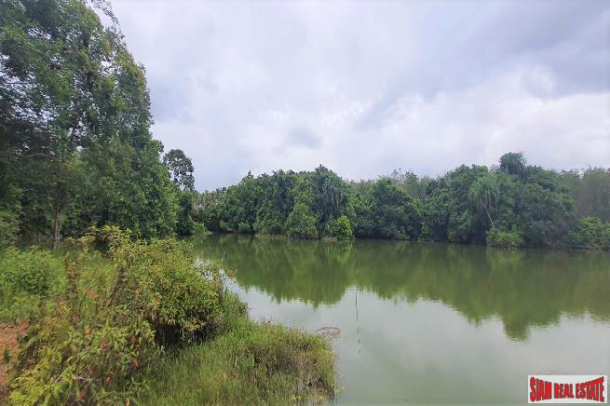 16.5 of land with profitable well water lake for sale in Takuapa, Phangnga-4