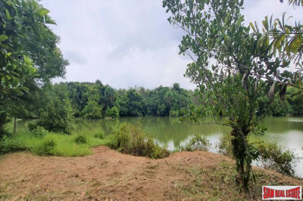 16.5 of land with profitable well water lake for sale in Takuapa, Phangnga-5