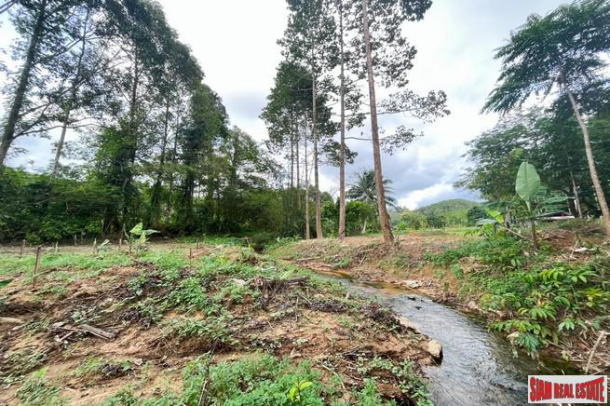 Prime location 98 Rai of land with economic crops near Sametnangshe viewpoint for sale in Phangnga-1