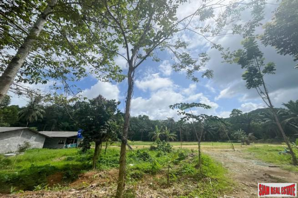 Prime location 98 Rai of land with economic crops near Sametnangshe viewpoint for sale in Phangnga-12