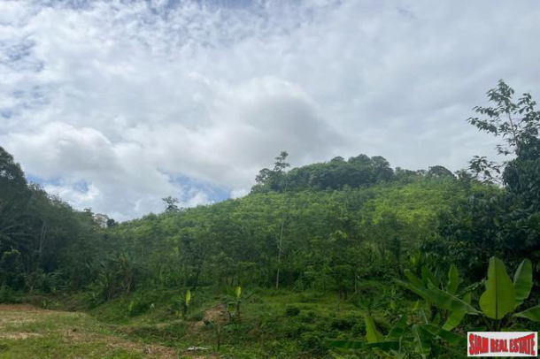 Prime location 98 Rai of land with economic crops near Sametnangshe viewpoint for sale in Phangnga-14