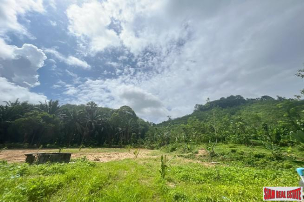 Prime location 98 Rai of land with economic crops near Sametnangshe viewpoint for sale in Phangnga-15