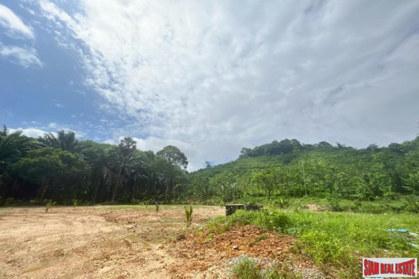 Prime location 98 Rai of land with economic crops near Sametnangshe viewpoint for sale in Phangnga-17