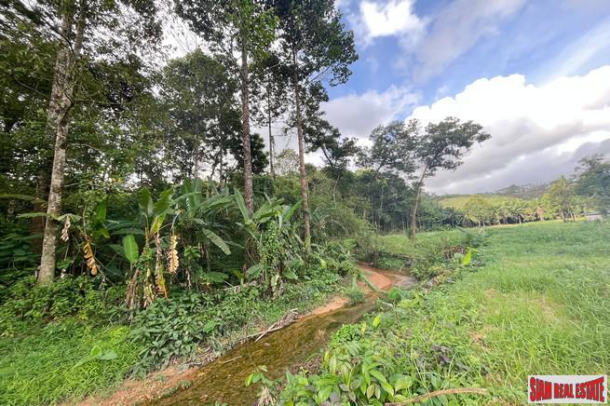 Prime location 98 Rai of land with economic crops near Sametnangshe viewpoint for sale in Phangnga-2