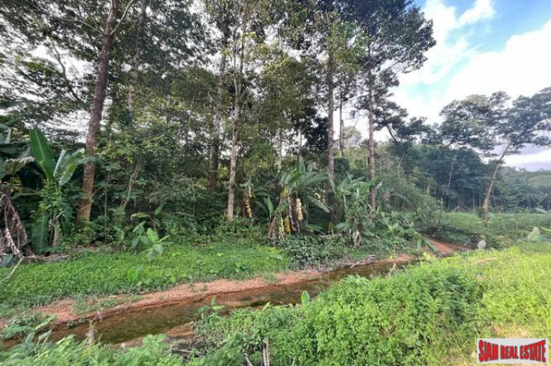 Prime location 98 Rai of land with economic crops near Sametnangshe viewpoint for sale in Phangnga-3